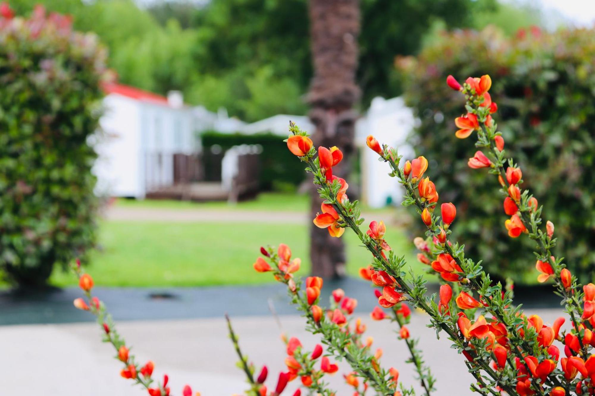 Camping Les Mancellieres Avrille  ภายนอก รูปภาพ