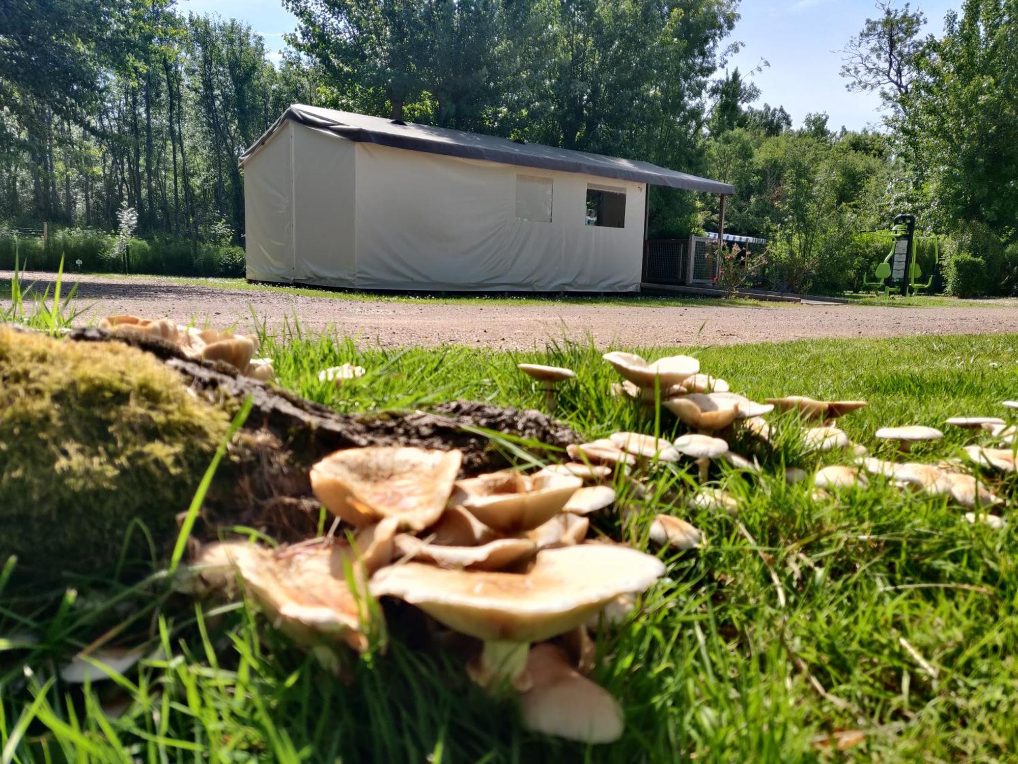 Camping Les Mancellieres Avrille  ภายนอก รูปภาพ
