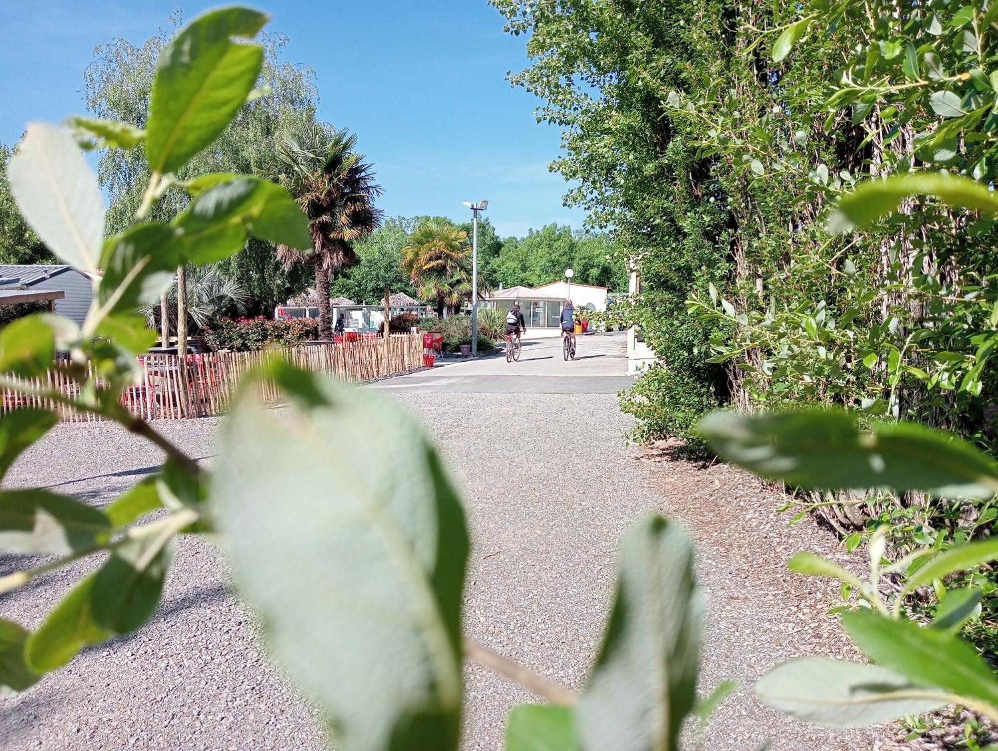 Camping Les Mancellieres Avrille  ภายนอก รูปภาพ